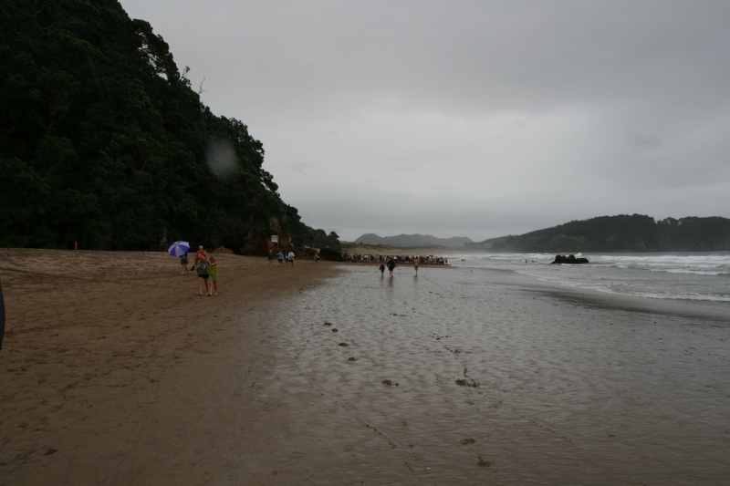 Nieuw-Zeeland 2011 - 0493